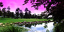 Golf Packages Bangkok